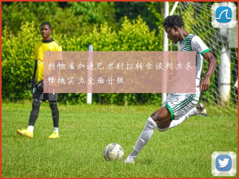 利物浦加速巴尔科拉转会谈判力求锋线实力全面升级